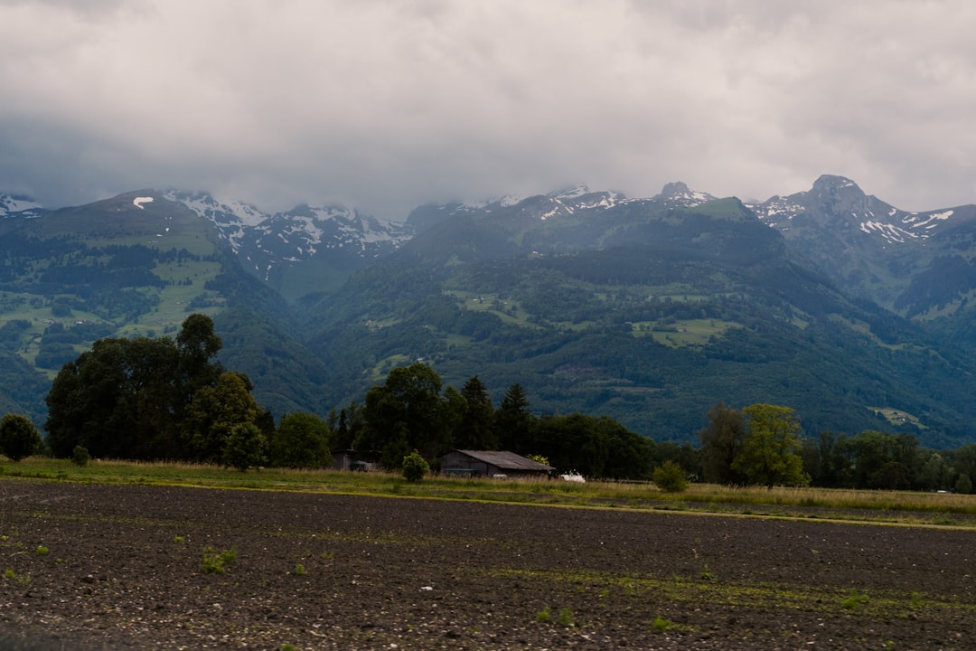 Schaan