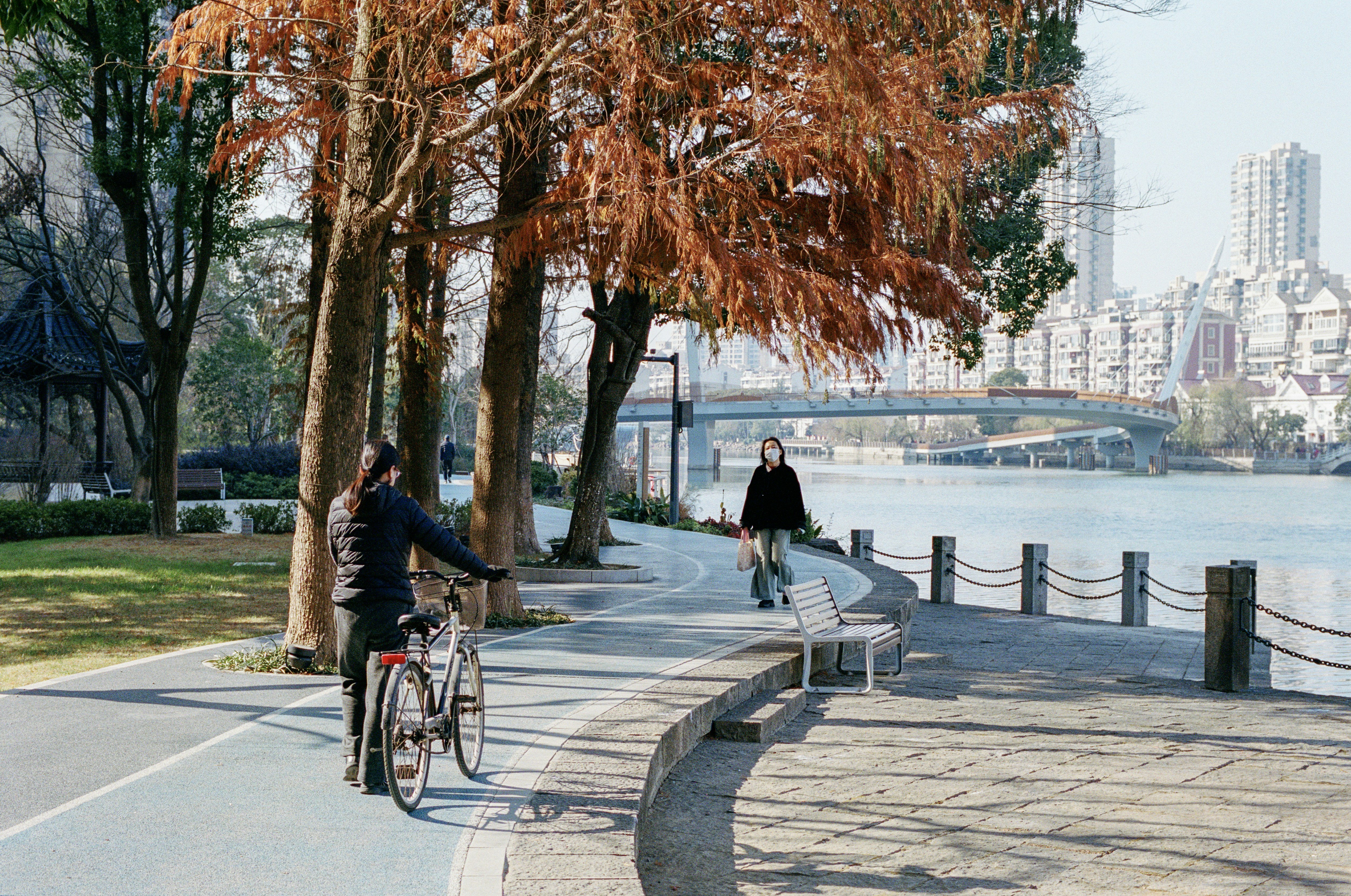 Radfahren im Rheintal